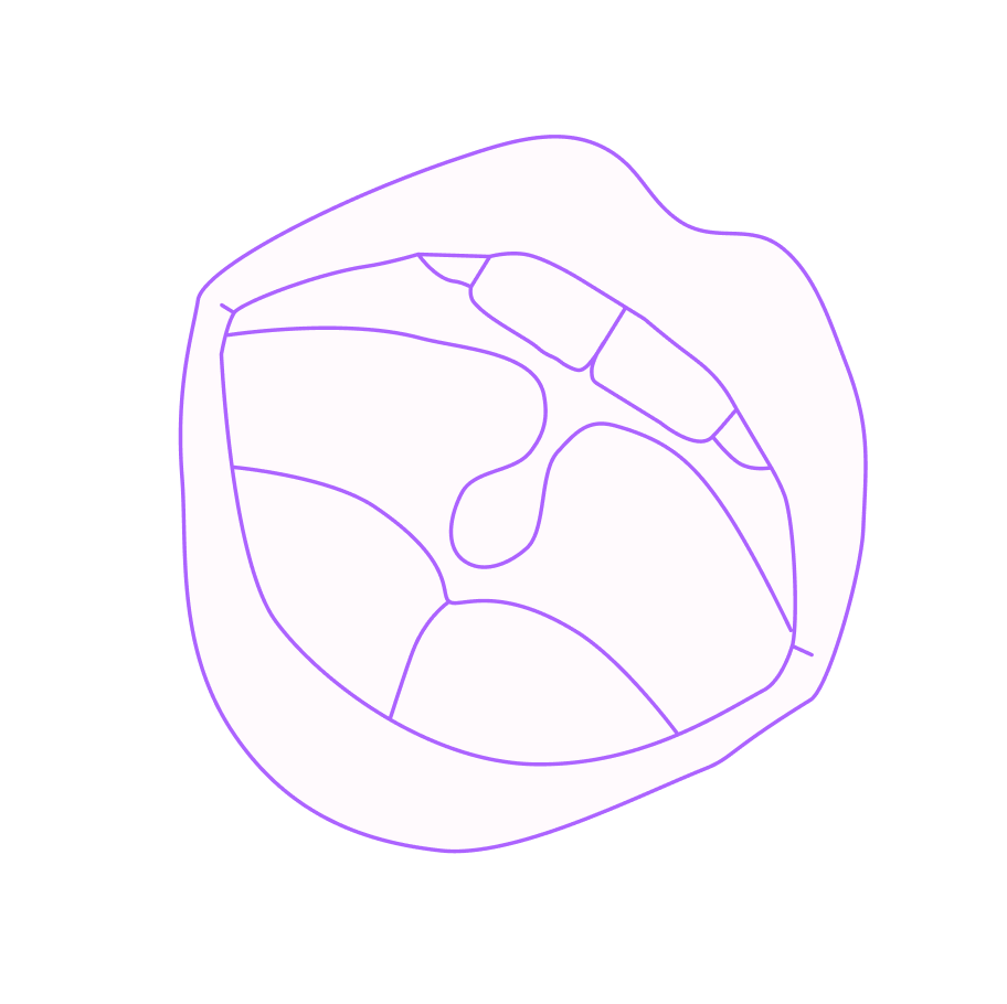 Illustration of a mouth with tongue